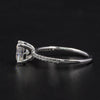 Pave Diamond Ring Setting